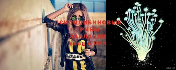 не бодяженный Бородино