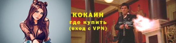 не бодяженный Бородино