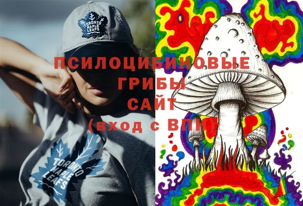 не бодяженный Бородино