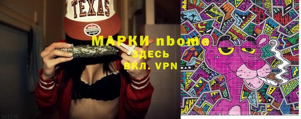 не бодяженный Бородино
