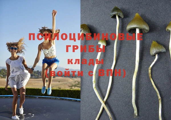 не бодяженный Бородино
