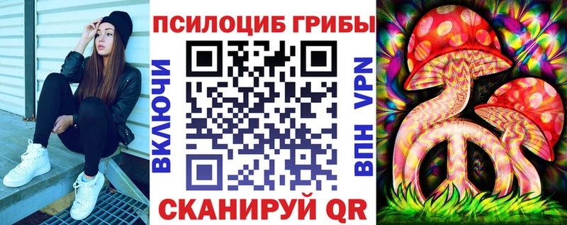 Псилоцибиновые грибы мицелий  Купить где  Каменск-Шахтинский 